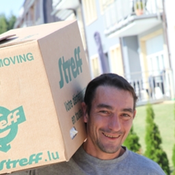 Moving company - Box transported by a mover